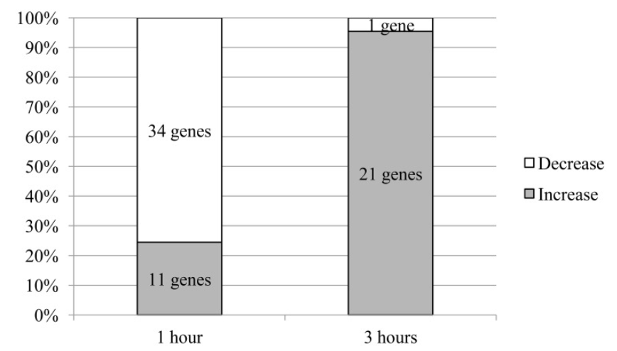 Selank Anxiety Effects Based on Genes Related to GABA Neurotransmitter